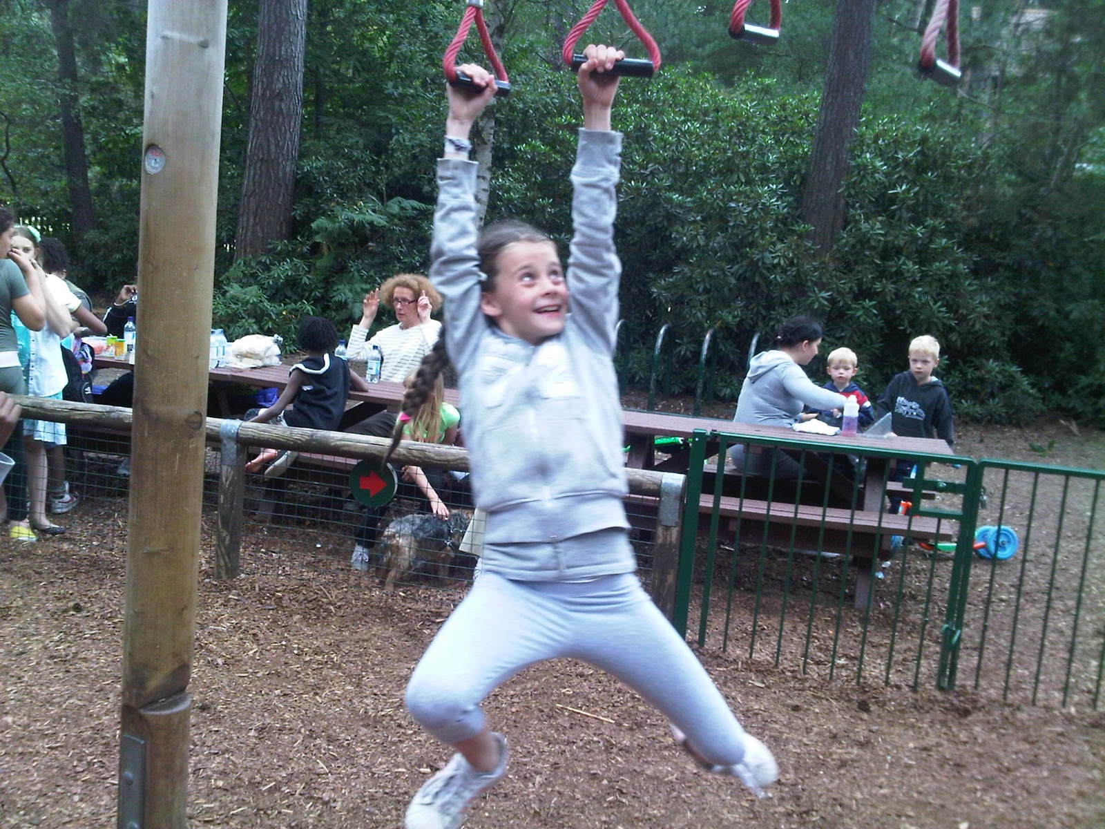 IMG00290 20100729 1447