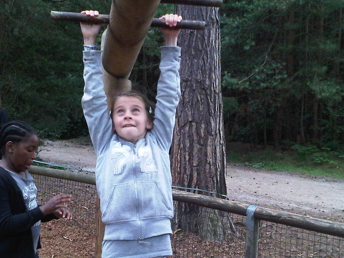 IMG00296 20100729 1450