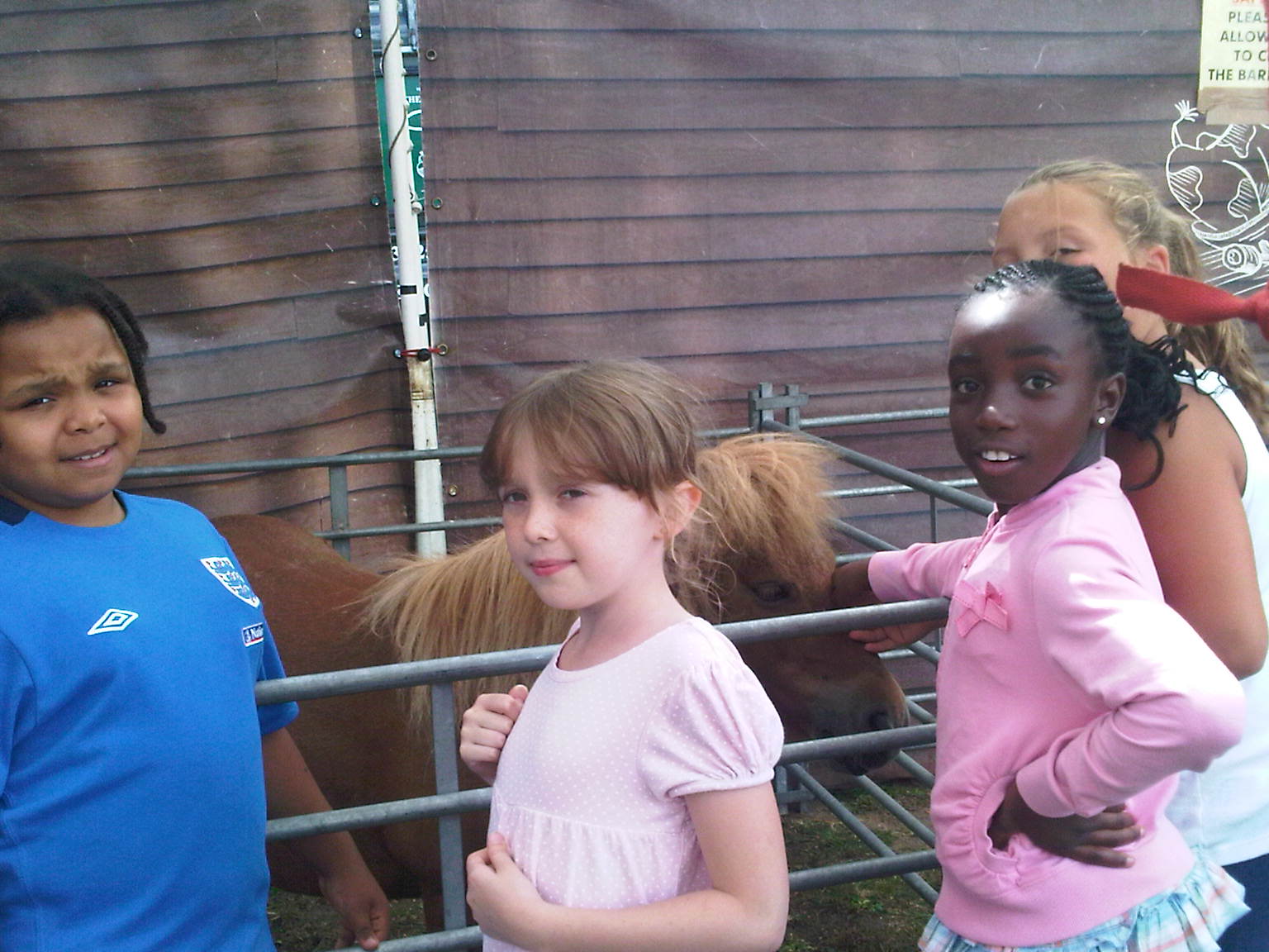 IMG00314 20100804 1303